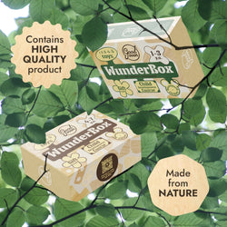 WunderBox 4-7 years old – developmental box for kids (ONLINE ORDER ONLY)