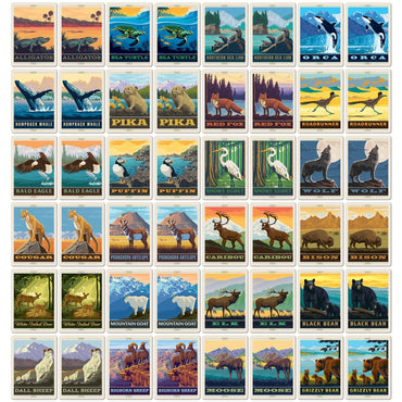National Parks Wildlife Memory Game (ONLINE ORDER ONLY)