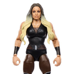 WWE Elite Collection Series 111 Action Figure - Select Figure(s) (Online Order Only)