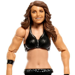 WWE WrestleMania Elite 2024 Action Figure - Select Figure(s) (Online Order Only)
