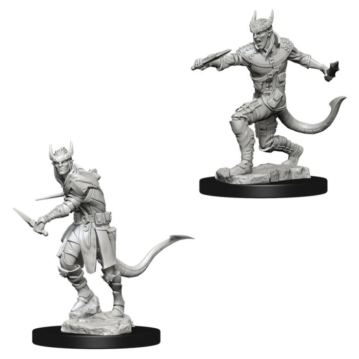 D&D Nolzur's Marvelous Minis: Tiefling Male Rogue (ONLINE ORDER ONLY)