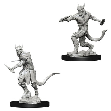 D&D Nolzur's Marvelous Minis: Tiefling Male Rogue (ONLINE ORDER ONLY)