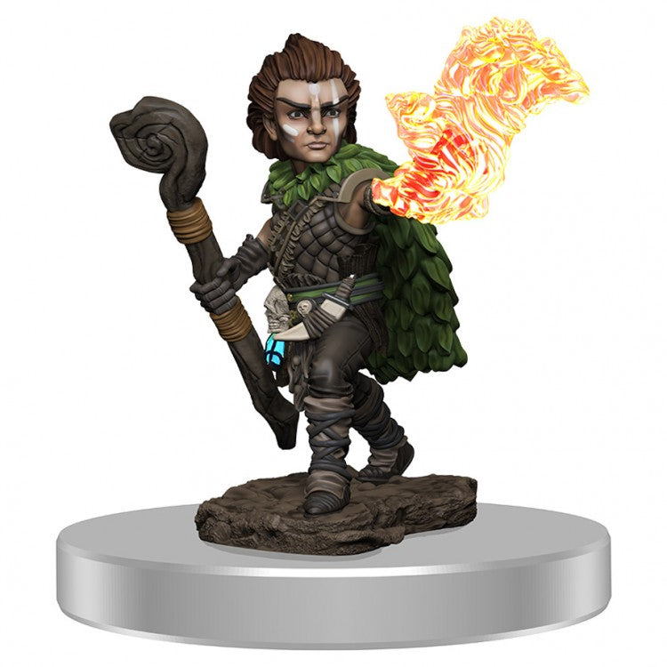 Pathfinder Battles: Male Gnome Druid W3 (ONLINE ORDER ONLY)
