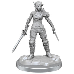 D&D Nolzur's Marvelous Miniatures: Elf Rogue & Half-Elf Rogue Protege (Online Order Only)