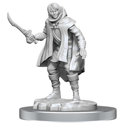 D&D Nolzur's Marvelous Miniatures: Elf Rogue & Half-Elf Rogue Protege (Online Order Only)