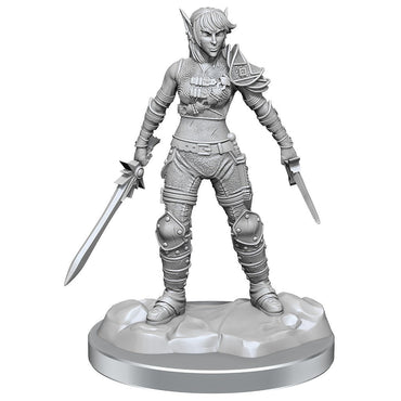 D&D Nolzur's Marvelous Miniatures: Elf Rogue & Half-Elf Rogue Protege (Online Order Only)