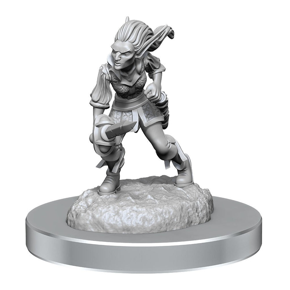 D&D Nolzur's Marvelous Miniatures: Quicklings (Online Order Only)