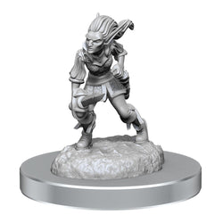 D&D Nolzur's Marvelous Miniatures: Quicklings (Online Order Only)