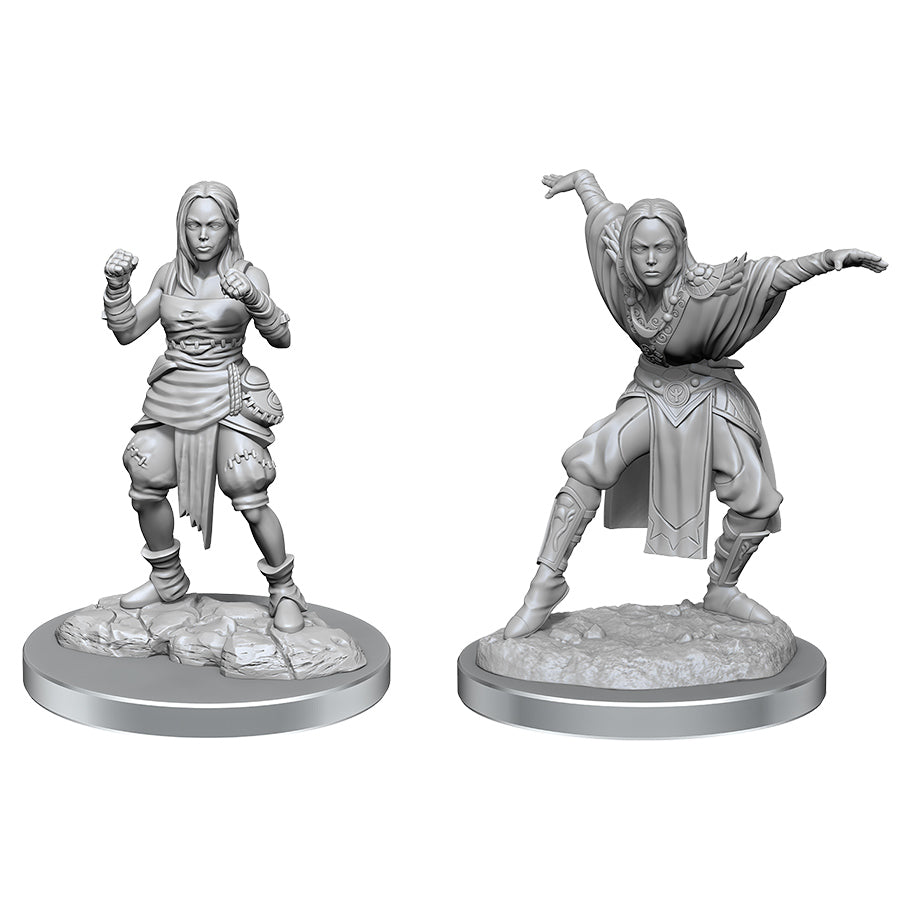 Pathfinder: Deep Cuts - Half-Elf Monk Females (ONLINE ORDER ONLY)