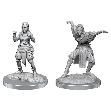 Pathfinder: Deep Cuts - Half-Elf Monk Females (ONLINE ORDER ONLY)