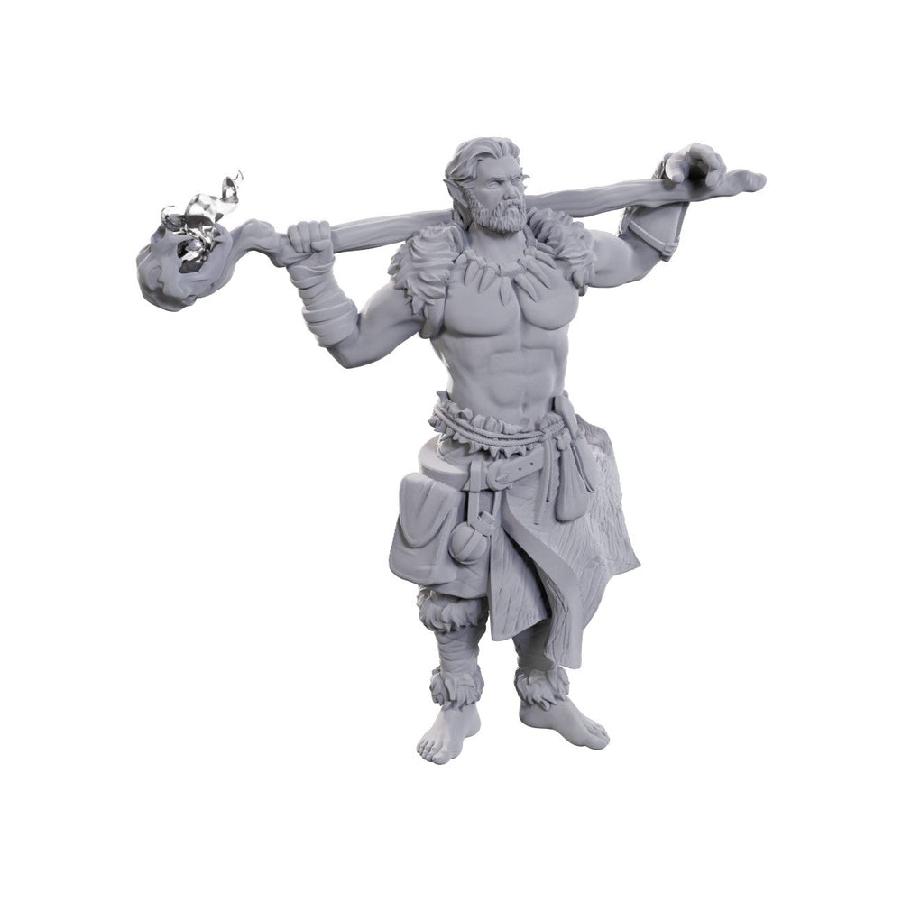 D&D Nolzur's Marvelous Miniatures: Archdruid & Martial Arts Adept (Online Order Only)