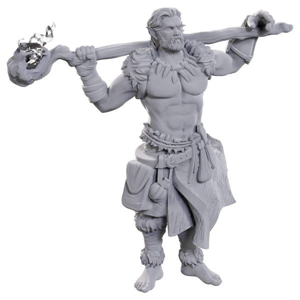 D&D: Nolzur's Marvelous Miniatures - Archdruid & Martial Arts Adept (ONLINE ORDER ONLY)