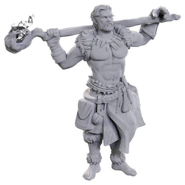 D&D: Nolzur's Marvelous Miniatures - Archdruid & Martial Arts Adept (ONLINE ORDER ONLY)