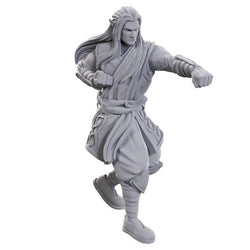 D&D: Nolzur's Marvelous Miniatures - Archdruid & Martial Arts Adept (ONLINE ORDER ONLY)