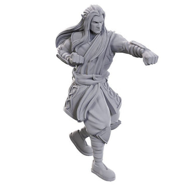 D&D: Nolzur's Marvelous Miniatures - Archdruid & Martial Arts Adept (ONLINE ORDER ONLY)