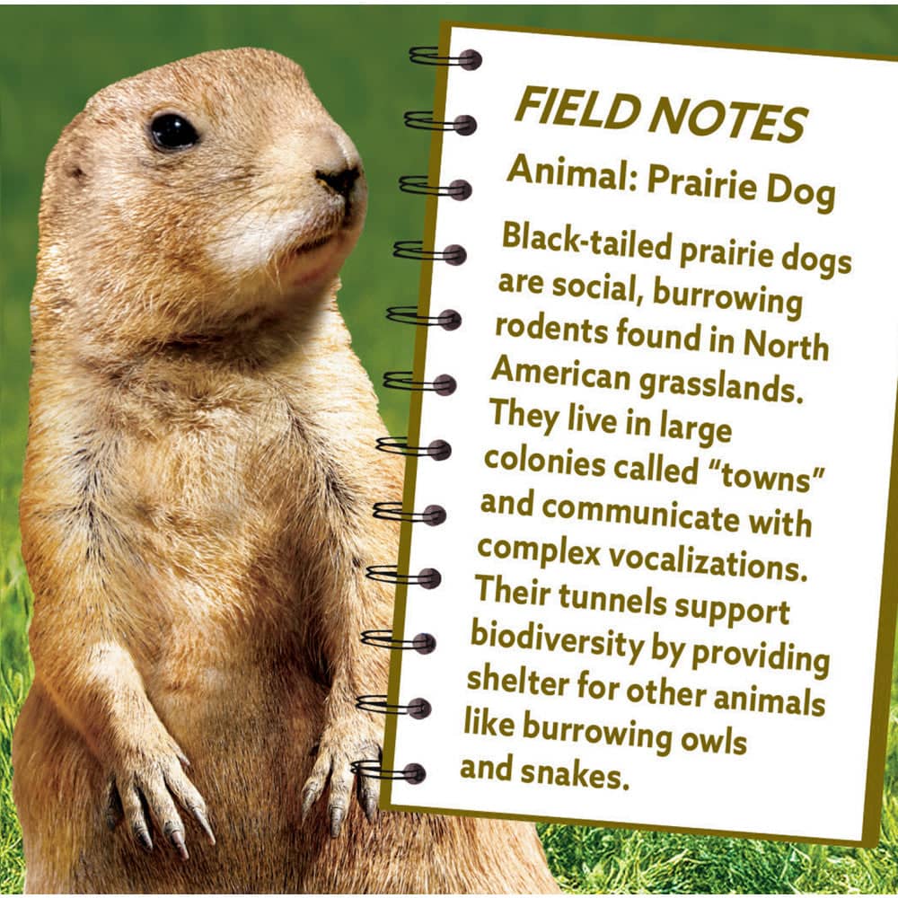 Prairie Dog 100 Piece Shaped Jigsaw Puzzle (ONLINE ORDER ONLY)
