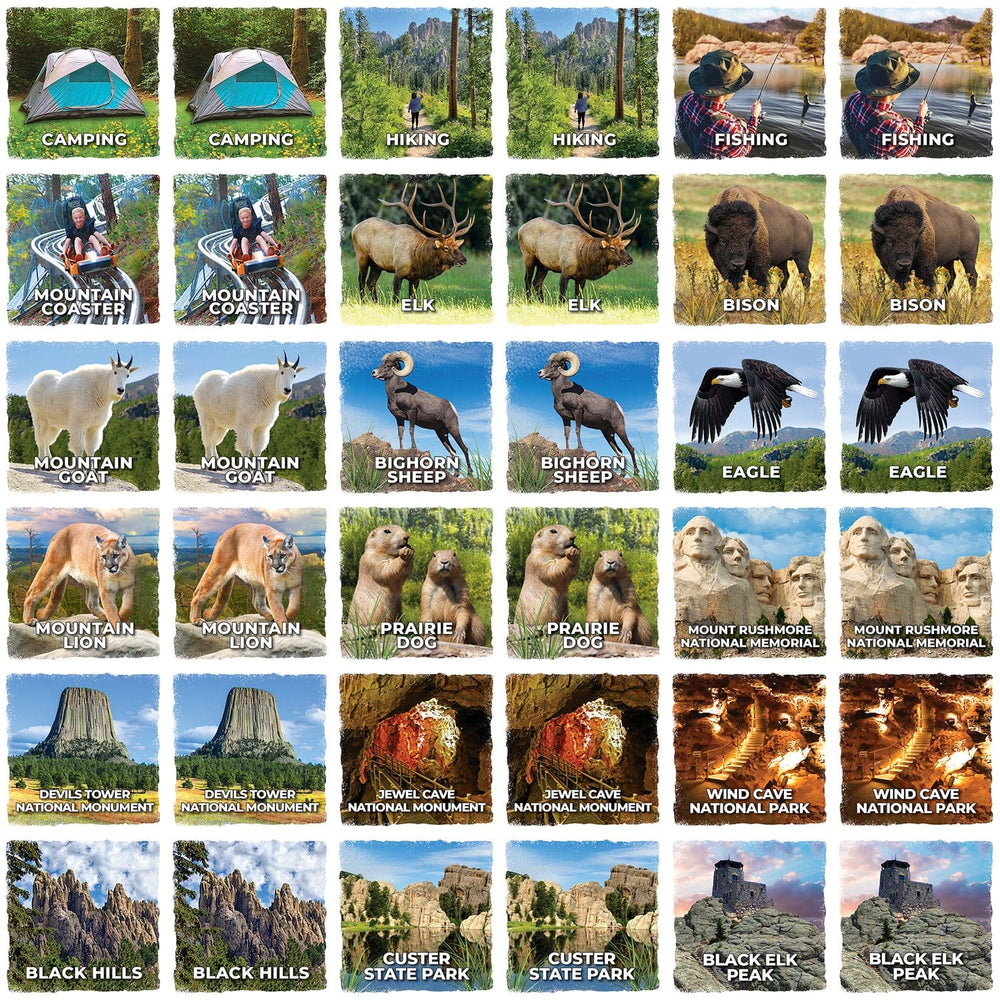 Jr Ranger - Black Hills Matching Game (ONLINE ORDER ONLY)