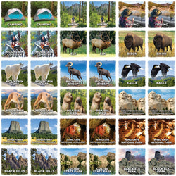 Jr Ranger - Black Hills Matching Game (ONLINE ORDER ONLY)