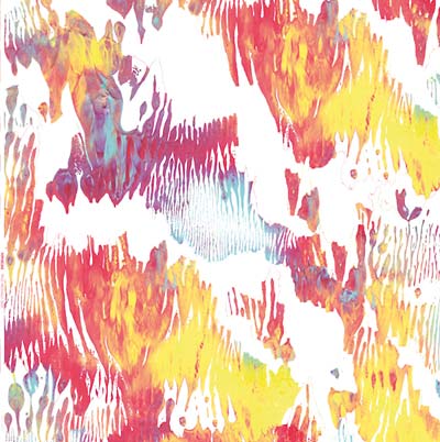XIPHIIDAE - Pass Hidingly Seek [Vinyl] (ONLINE ORDER ONLY)