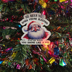 Hilarious Adult Humor Santa Christmas Stickers (ONLINE ORDER ONLY)
