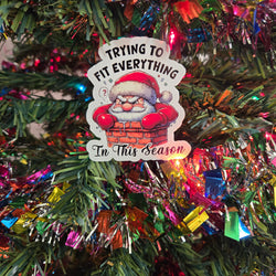 Hilarious Adult Humor Santa Christmas Stickers (ONLINE ORDER ONLY)