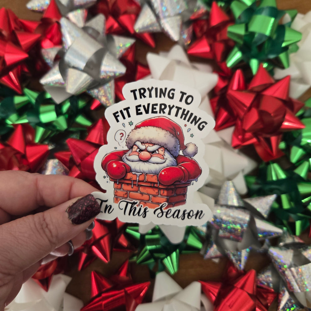 Hilarious Adult Humor Santa Christmas Stickers (ONLINE ORDER ONLY)