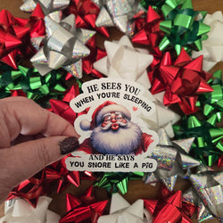 Hilarious Adult Humor Santa Christmas Stickers (ONLINE ORDER ONLY)