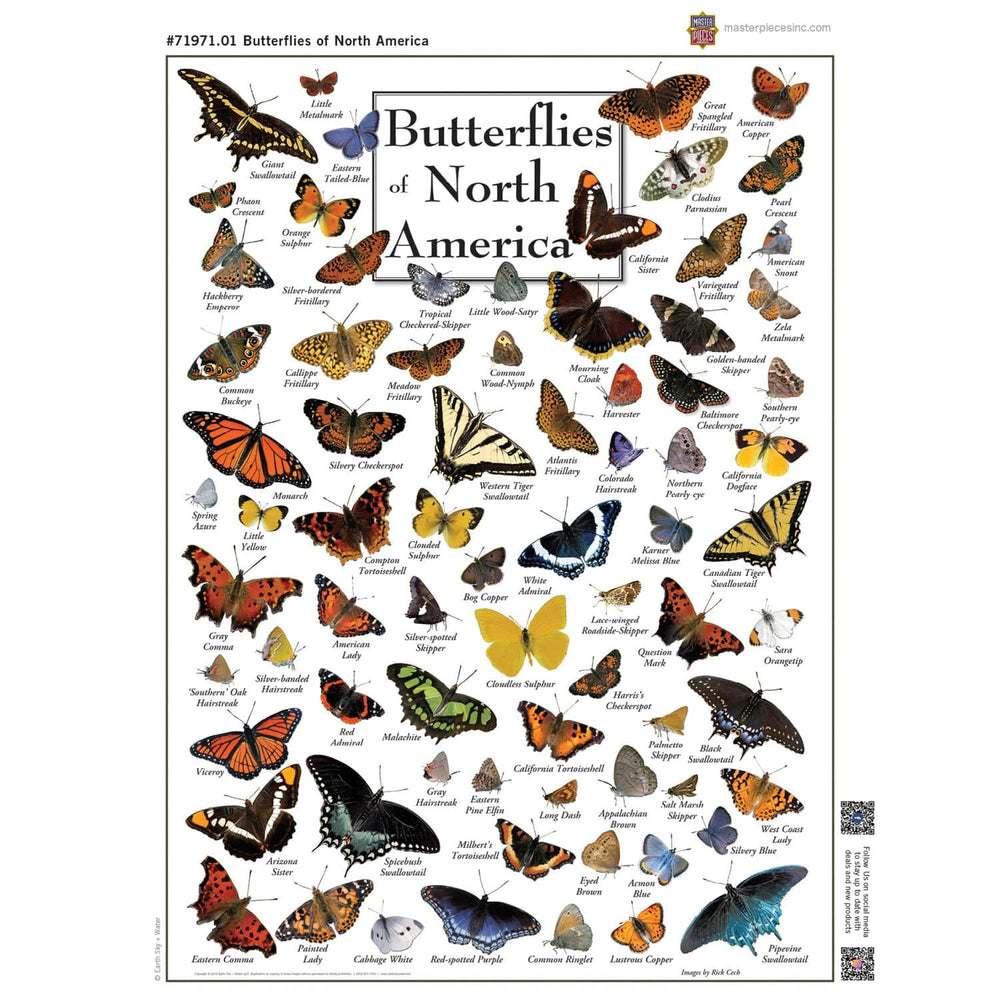 Butterflies of North America 1000 Piece Jigsaw Puzzle (ONLINE ORDER ONLY)