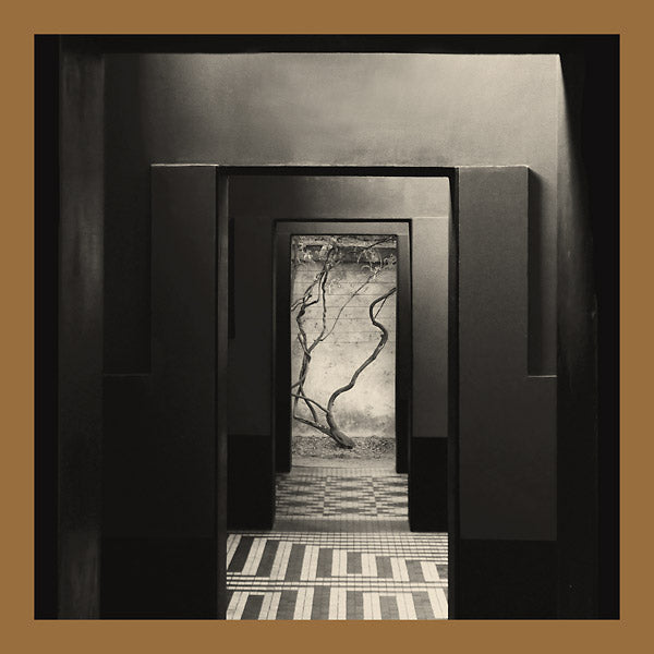 YAIR ELAZAR GLOTMAN & MATS ERLANDSSON - Negative Chambers [Vinyl] (ONLINE ORDER ONLY)