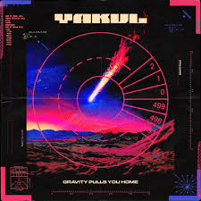 Gravity Pulls You Home [Vinyl]