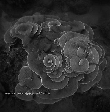 YANNICK DAUBY - Penghu Experimental Sound Studio Vol. 2 [Vinyl] (ONLINE ORDER ONLY)