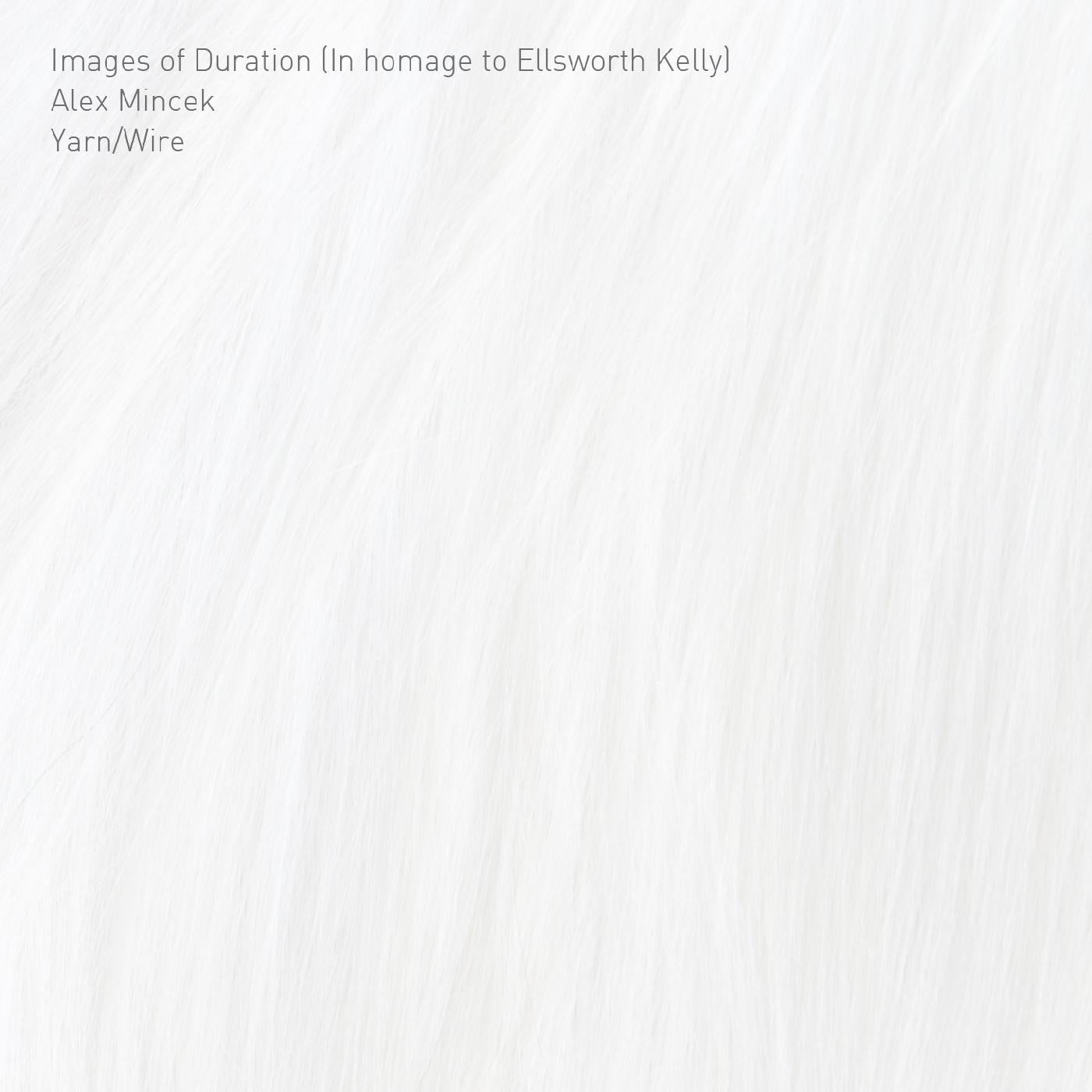 Yarn/Wire - Images of Duration (In homage to Ellsworth Kelly) [CD] (ONLINE ORDER ONLY)