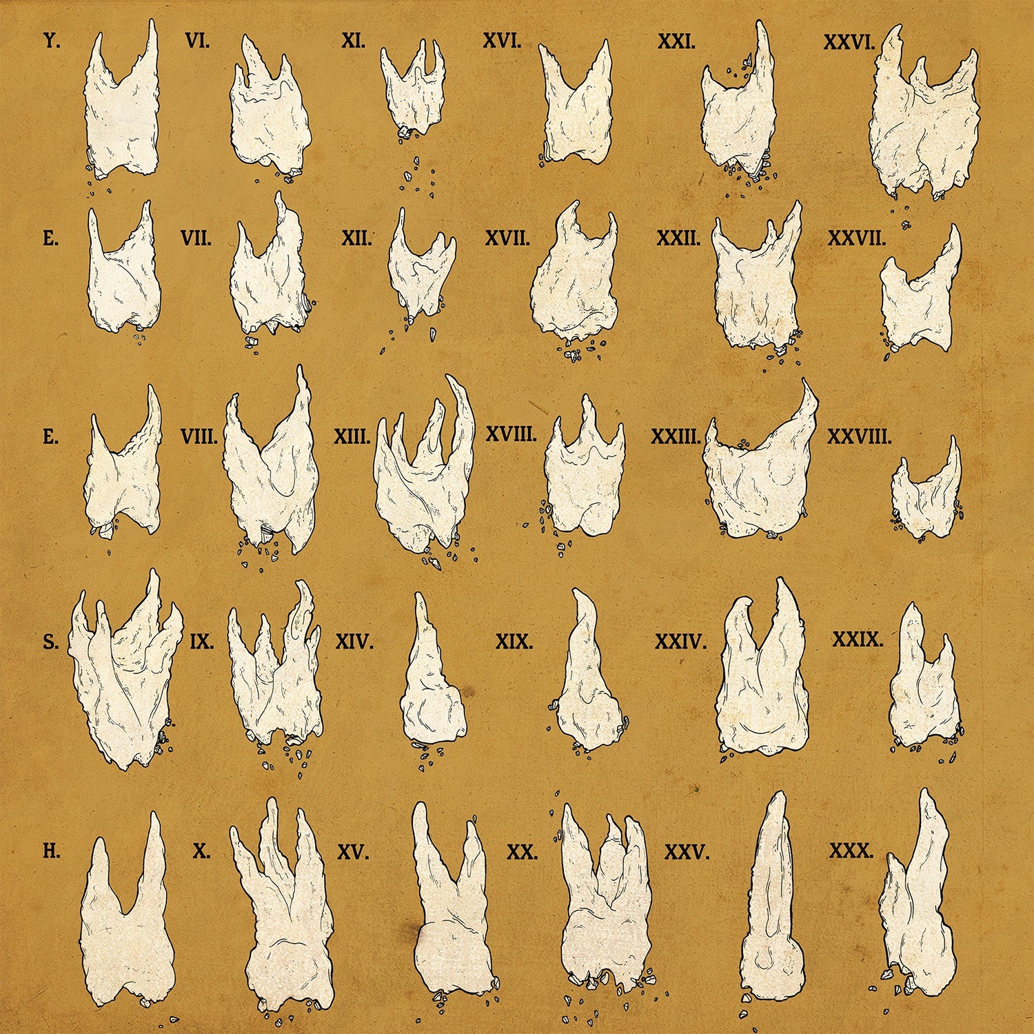 Confirmation Bias (RED VINYL) [Vinyl] (ONLINE ORDER ONLY)