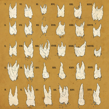 Confirmation Bias [CD] (ONLINE ORDER ONLY)