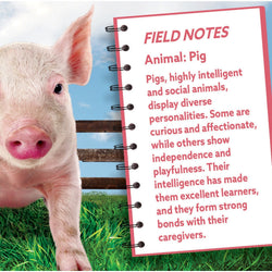 Pig 100 Piece Shaped Jigsaw Puzzle (ONLINE ORDER ONLY)