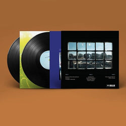 This Stupid World (2 Lp's) [Vinyl] (ONLINE ORDER ONLY)