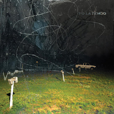 This Stupid World [CD] (ONLINE ORDER ONLY)