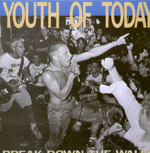 Break Down the Walls [Vinyl]