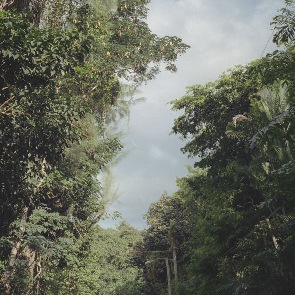 New Once [Vinyl] (ONLINE ORDER ONLY)