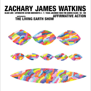Zachary James Watkins - Affirmative Action [Vinyl] (ONLINE ORDER ONLY)
