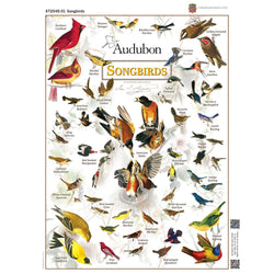 Audubon - Songbirds 1000 Piece Jigsaw Puzzle (ONLINE ORDER ONLY)