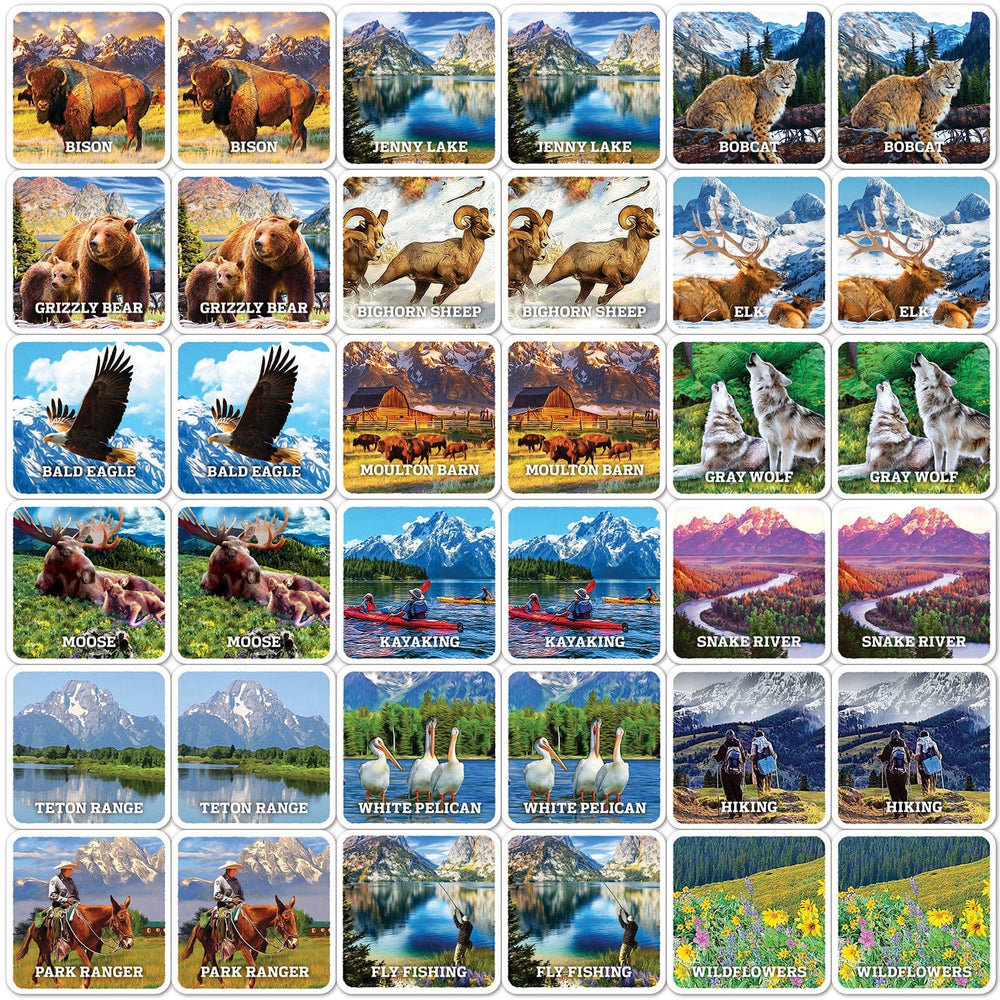 Jr. Ranger - Grand Teton Matching Game (ONLINE ORDER ONLY)