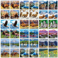 Jr. Ranger - Grand Teton Matching Game (ONLINE ORDER ONLY)
