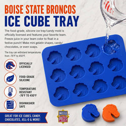 Boise State Broncos Ice Cube Tray