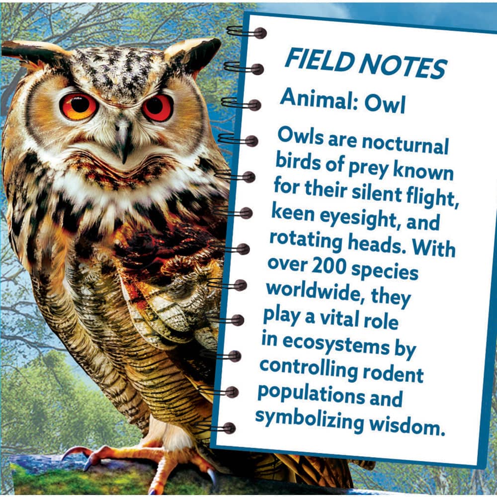 Owl 100 Piece Shaped Jigsaw Puzzle (ONLINE ORDER ONLY)