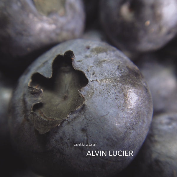 Alvin Lucier [Vinyl] (ONLINE ORDER ONLY)