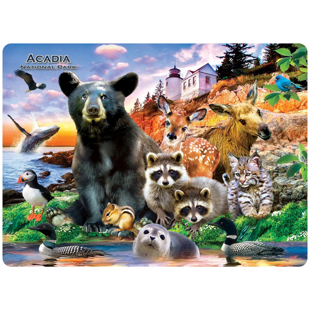 Acadia National Park 48 Piece Tray Puzzle (ONLINE ORDER ONLY)