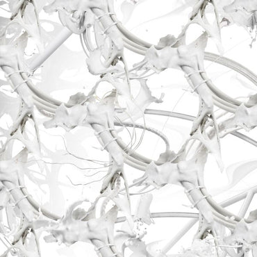 U Feel Anything? [CD] (ONLINE ORDER ONLY)