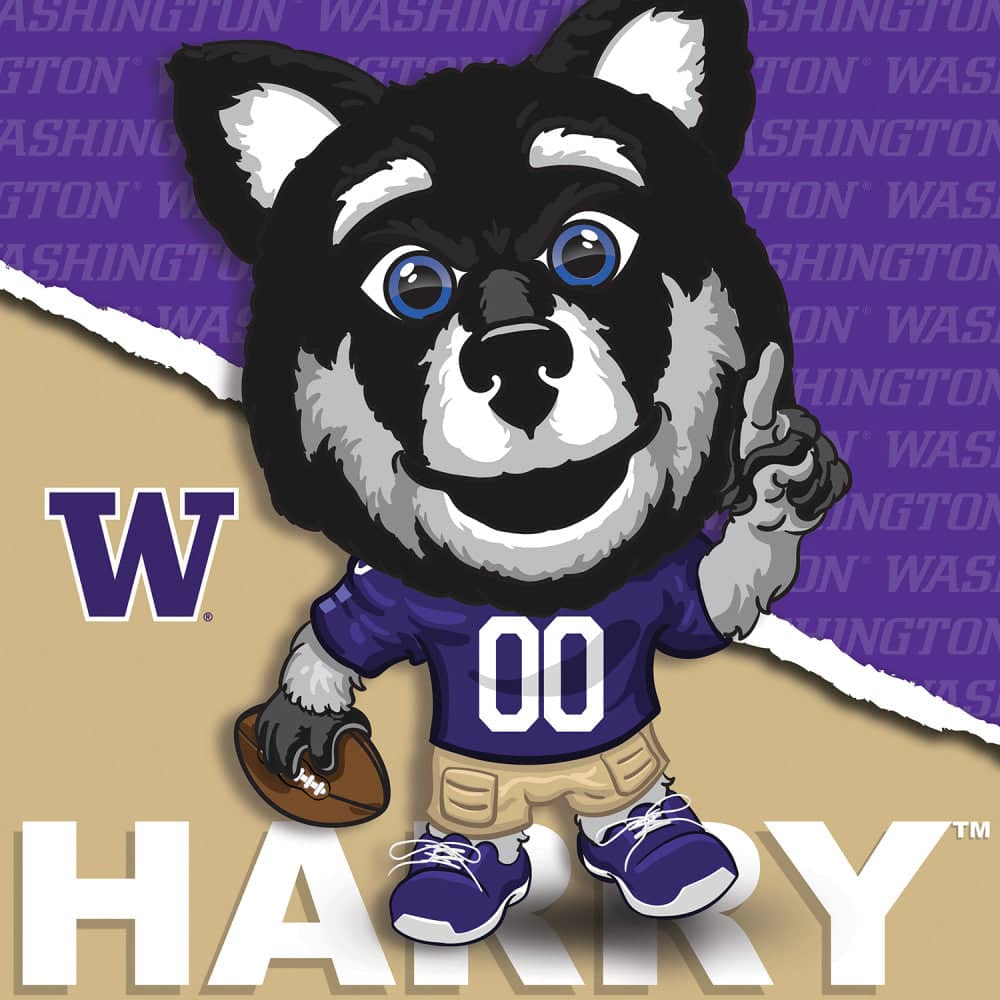 Washington Huskies - NCAA Mascot 100 Piece Jigsaw Puzzle (ONLINE ORDER ONLY)