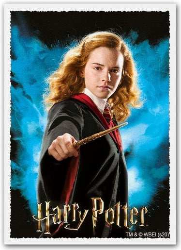 Dragon Shields: (100) Matte Art - Harry Potter Wizarding World - Hermione Granger